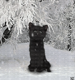 winter/weihnacht - Ingyenes animált GIF
