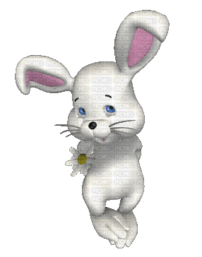 bunny - GIF animé gratuit