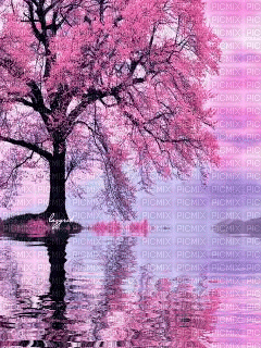 Baum am Wasser - GIF animasi gratis