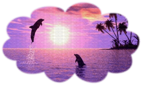 dolceluna dolphins sunset purple summer - PNG gratuit