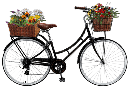 bicicleta con canastas de flores - bezmaksas png