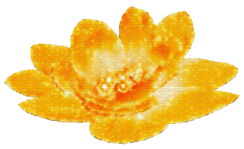 Animated.Flower.Pearls.Orange - By KittyKatLuv65 - GIF animado gratis