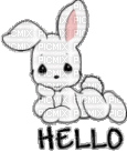 lapin hello - 免费动画 GIF