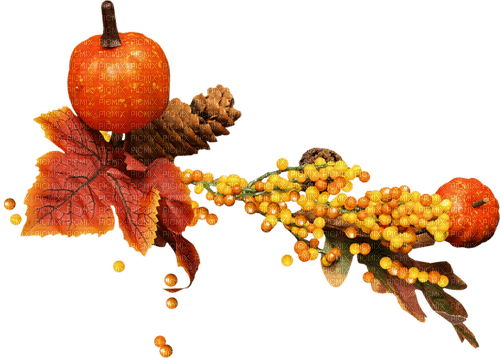 autumn deco border brown orange kikkapink - zadarmo png