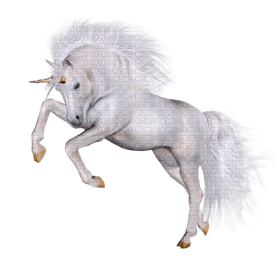 Unicorn.. - PNG gratuit