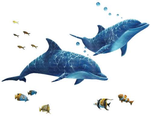 Dauphins - png gratuito