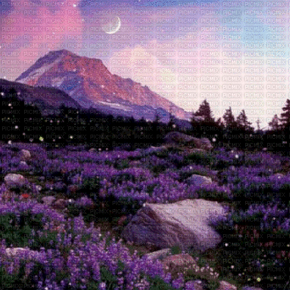 Background nature - Free animated GIF