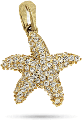 Jewellery Gold - Bogusia - Free PNG