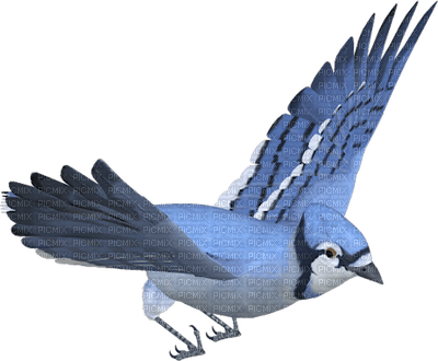 Kaz_Creations Deco Bird Blue  Colours - besplatni png