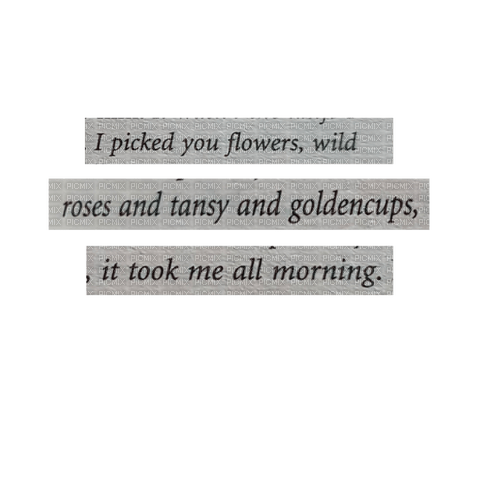 quote vintage - Free PNG