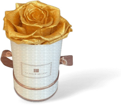 rose box Bb2 - bezmaksas png
