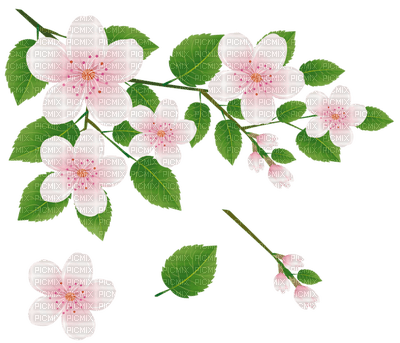 Kaz_Creations Flowers Flower Branch - ilmainen png