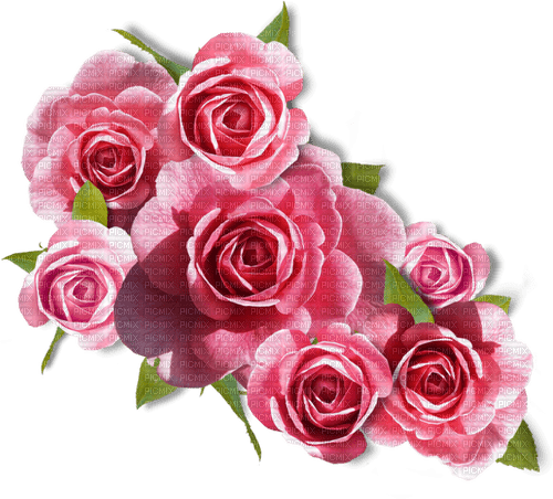 Roses.Pink - besplatni png
