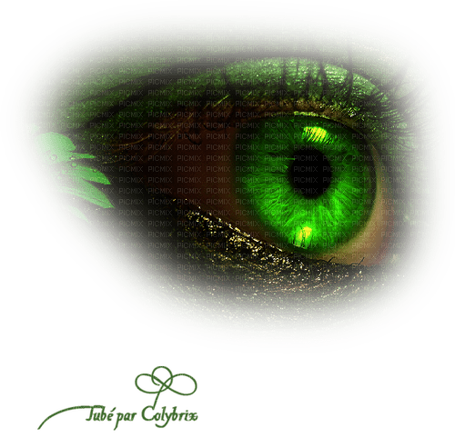 yeux vert - besplatni png