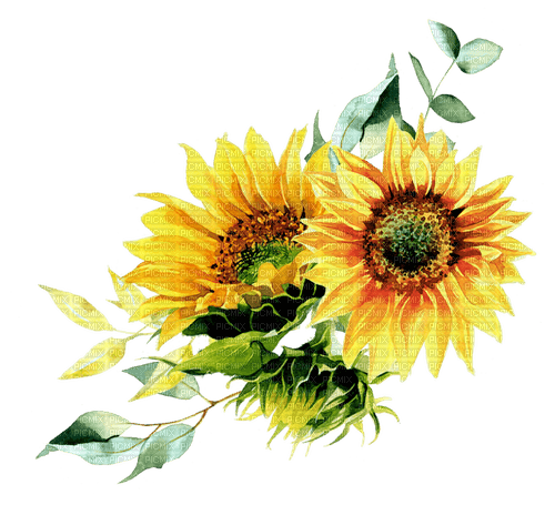 Sunflower.Tournesol.Girasoles.Victoriabea - PNG gratuit