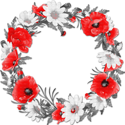 soave frame circle flowers spring poppy daisy - PNG gratuit