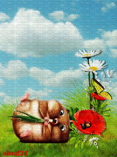 Funny Hamster - Ingyenes animált GIF
