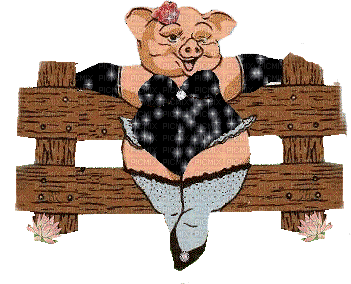 pig bp - Безплатен анимиран GIF
