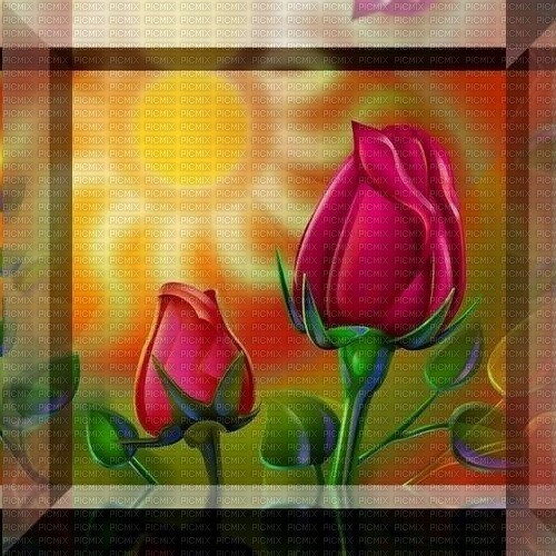 fond background roses valentine - ücretsiz png