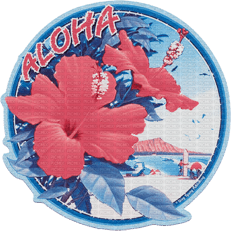 soave background animated  vintage aloha blue pink - Darmowy animowany GIF