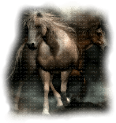 aze cheval marron Brown - PNG gratuit