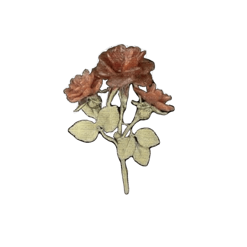 red flowers - 免费PNG