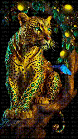 Felino-leopardo - GIF เคลื่อนไหวฟรี