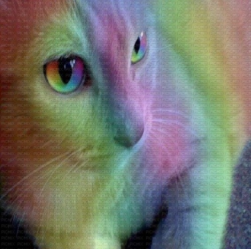 Fantasy Rainbow Cat - безплатен png