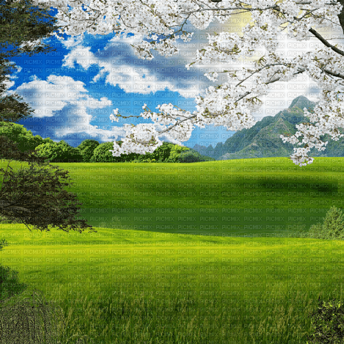 Y.A.M._Spring background - ilmainen png