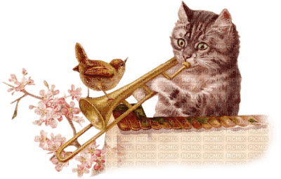 Kaz_Creations Cats Kittens Cat Kitten Trumpet Bird - 免费PNG