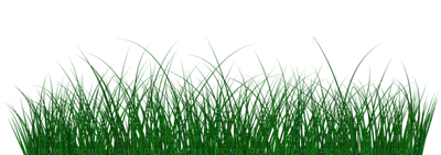 Kaz_Creations Garden-Deco-Grass - png grátis