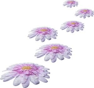 fleurs ( - PNG gratuit