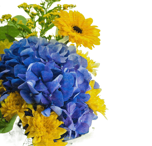 Цветочный декор - besplatni png