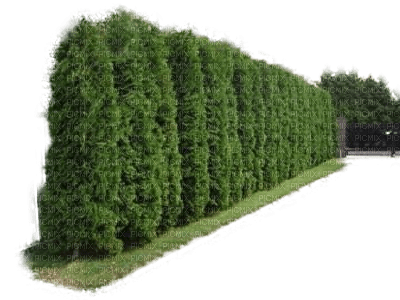 Gartenwand - ücretsiz png