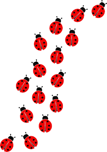 ladybirds Bb2 - 免费PNG