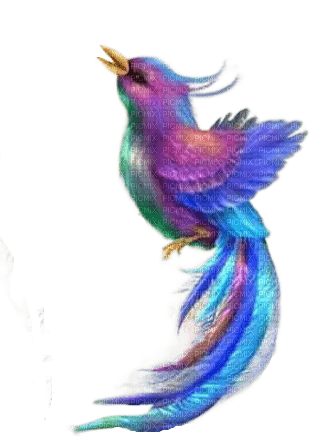 Птица арт - 免费PNG