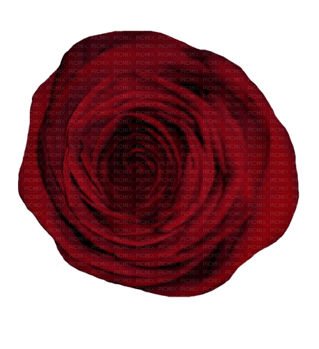 Rose rouge - zdarma png
