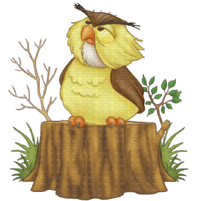 Kaz_Creations Cartoon Owl Animals - 免费PNG