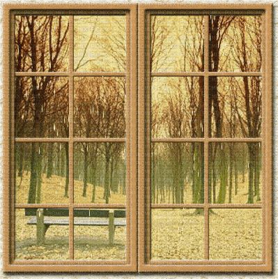 minou-animated-window-fönster - Gratis geanimeerde GIF