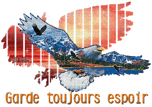 aigle d'espoir - Бесплатный анимированный гифка