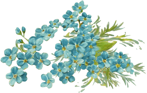 Blue green vintage flowers deco [Basilslament] - 無料png