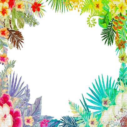 soave frame animated summer tropical flowers - Бесплатный анимированный гифка