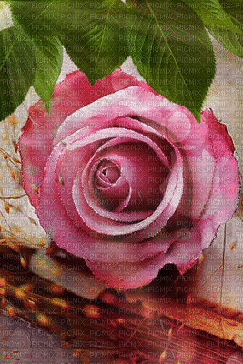 Rose_fleur_Blue DREAM 70 - Безплатен анимиран GIF
