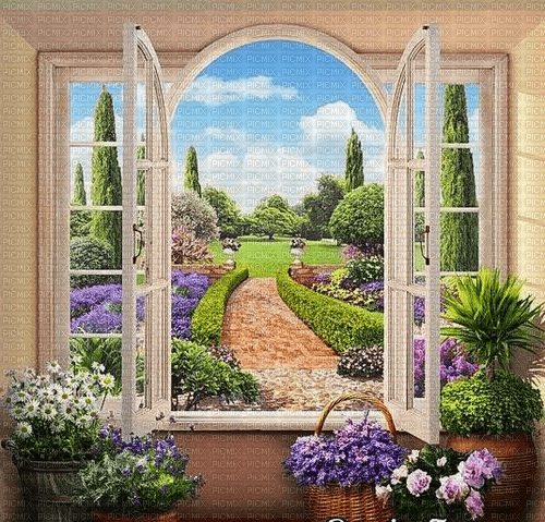 Rena Fenster Window Background - фрее пнг
