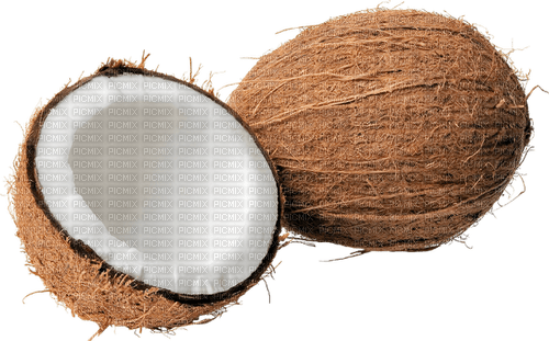Coconuts.Brown.White - ücretsiz png