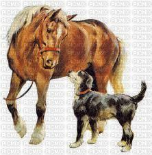 Cheval+chien - 免费PNG