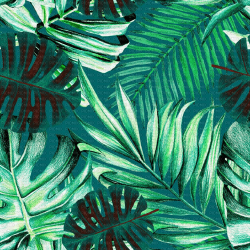Y.A.M._Tropical foliage background - ilmainen png