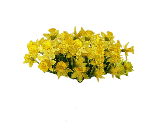 Frühling, Blumen - nemokama png