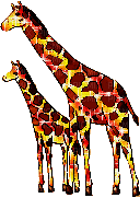 girafe - GIF animasi gratis