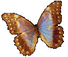 borboleta - Δωρεάν κινούμενο GIF